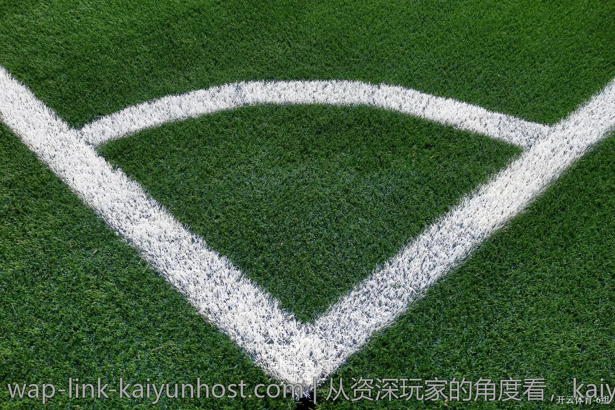 从资深玩家的角度看，kaiyun体育有哪些优缺点？