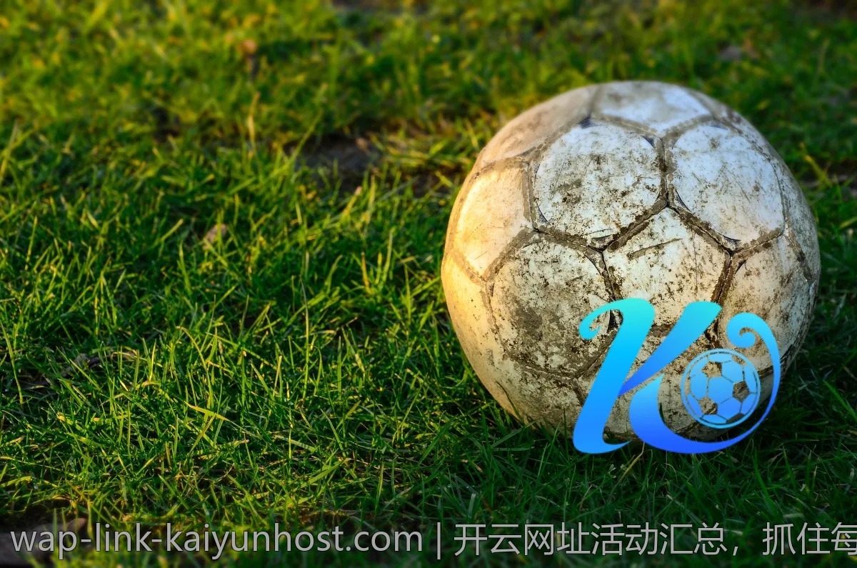开云网址活动汇总，抓住每一个机会